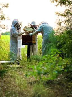 several people in bee suits taking honey