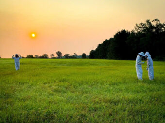 several people in bee suits outside at sunset