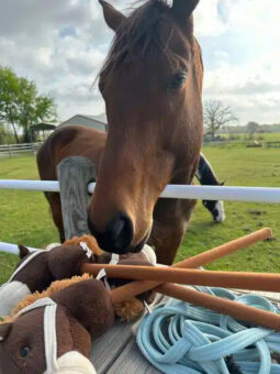 horse standing over toy horses